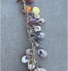Sea shell Garland