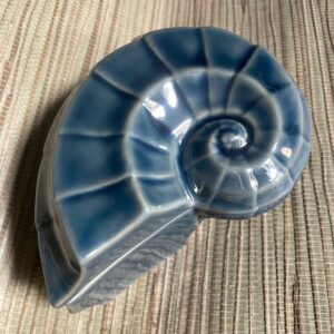 Sea shell trinket box  Coastal Blue