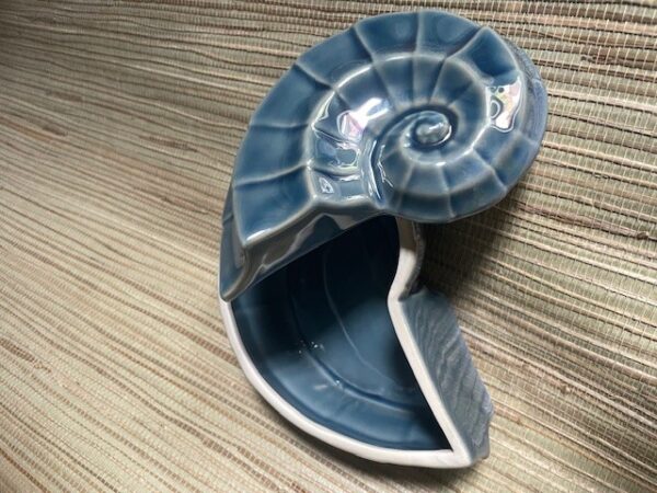 Sea shell trinket box  Coastal Blue - Image 3