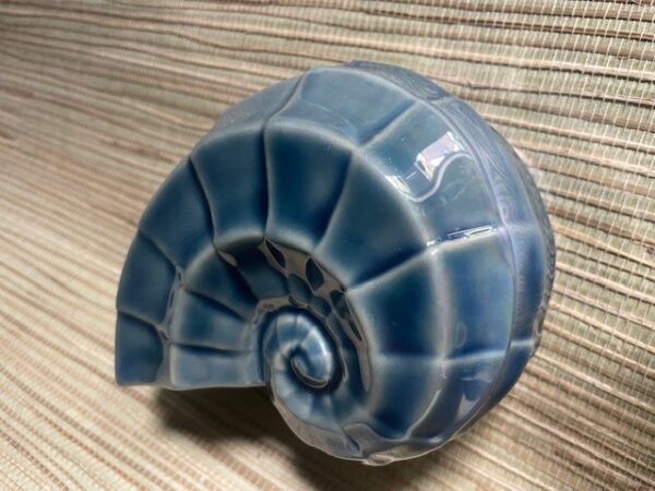 Sea shell trinket box  Coastal Blue - Image 4