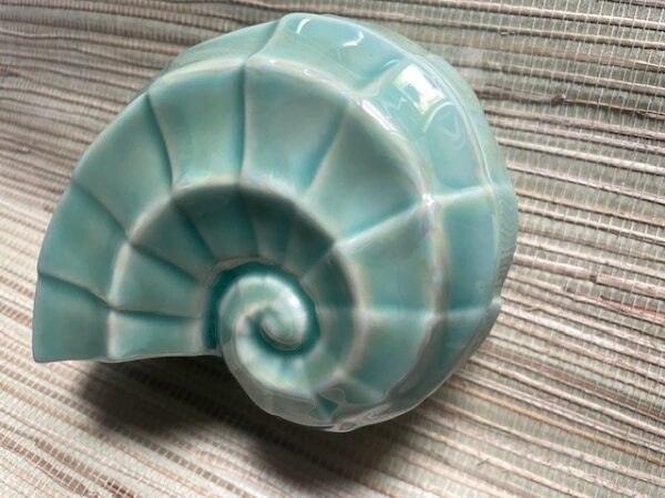 Sea shell trinket box  Sea glass green - Image 3